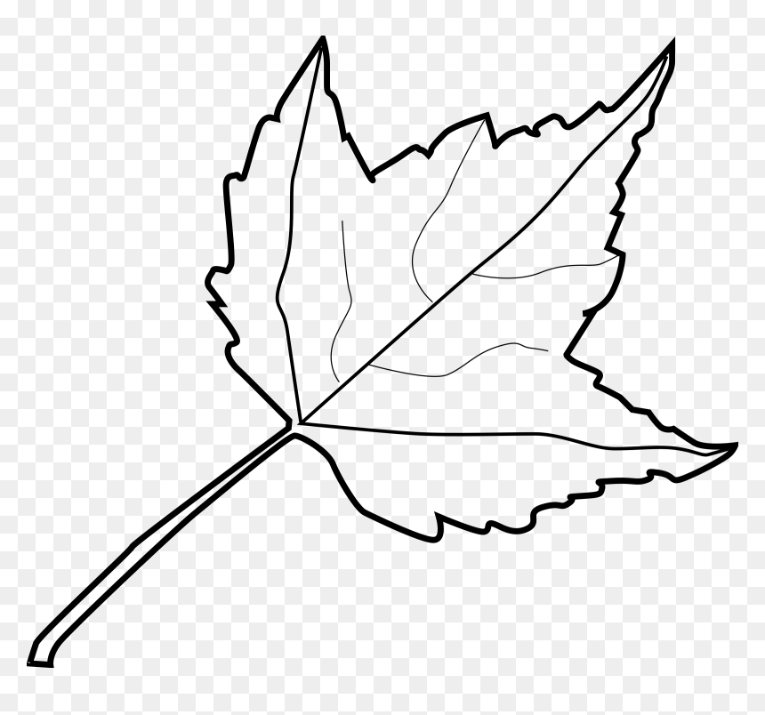 Leaf Clipart Black And White, HD Png Download - fall leaf png