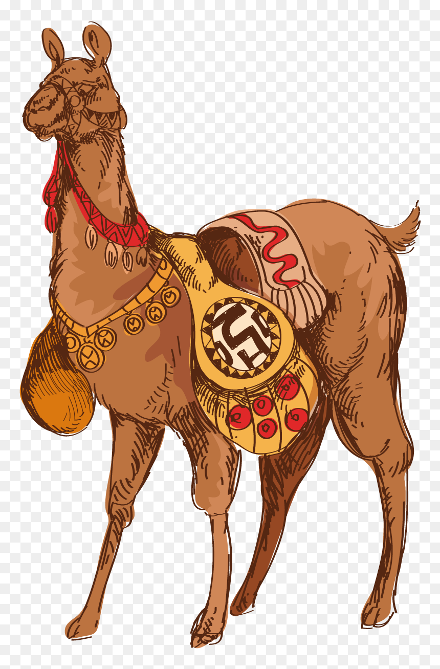 Drawing, HD Png Download - llama png