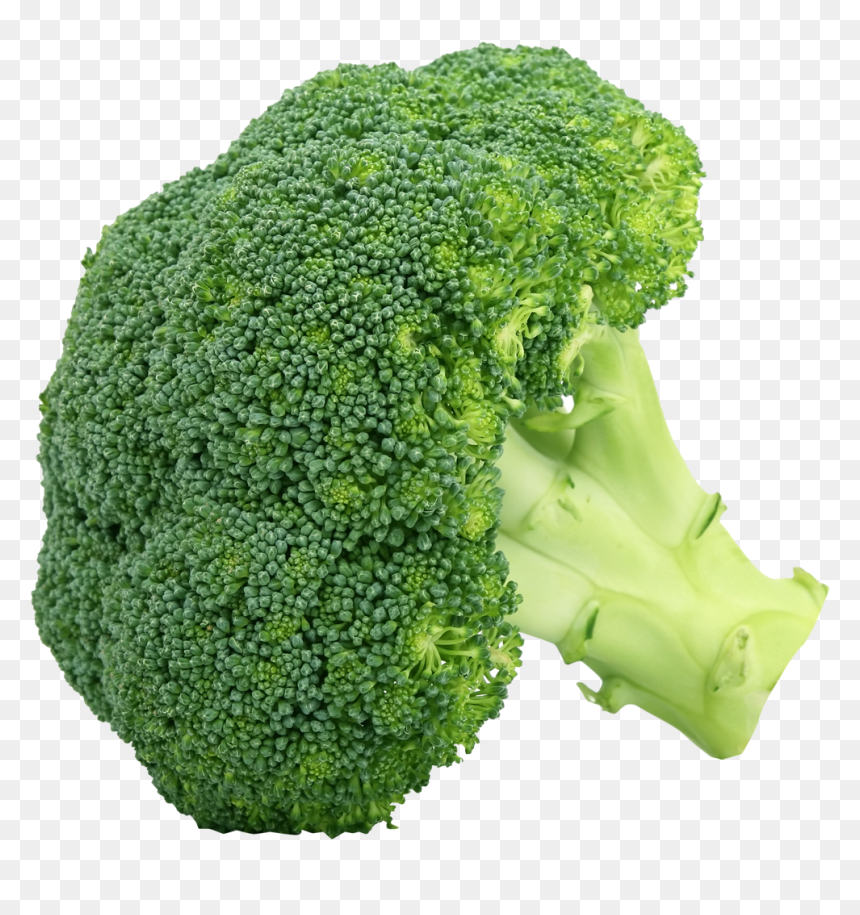 Broccoli Picture Of Vegetables, HD Png Download - broccoli png