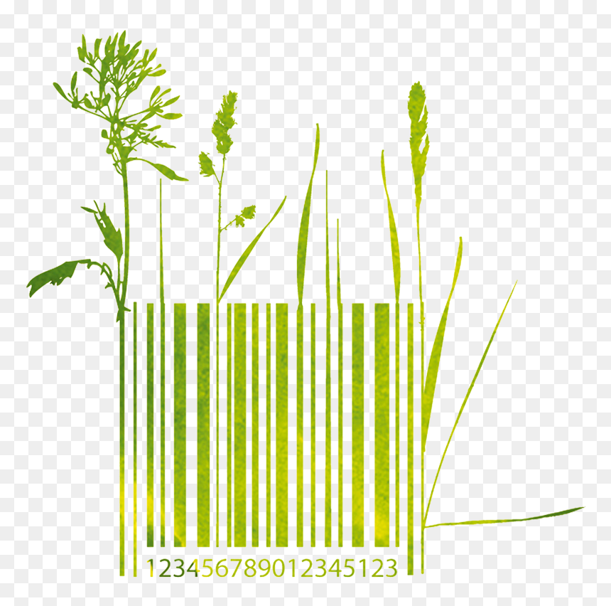 Grass, HD Png Download - footprint png
