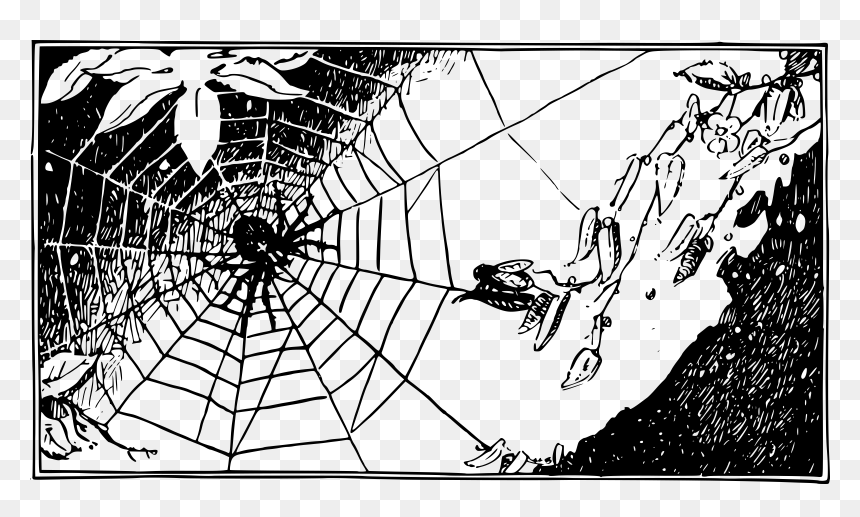 Spider Web Png, Transparent Png - spiderweb png