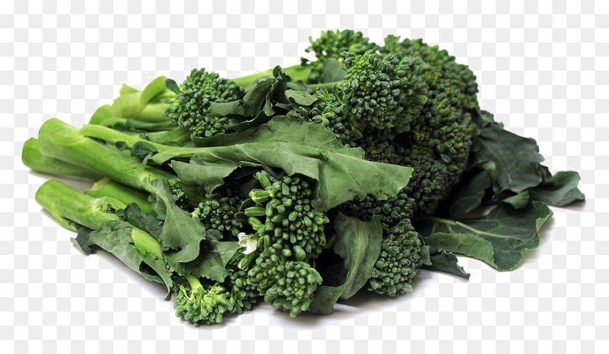 Italica Group, HD Png Download - broccoli png