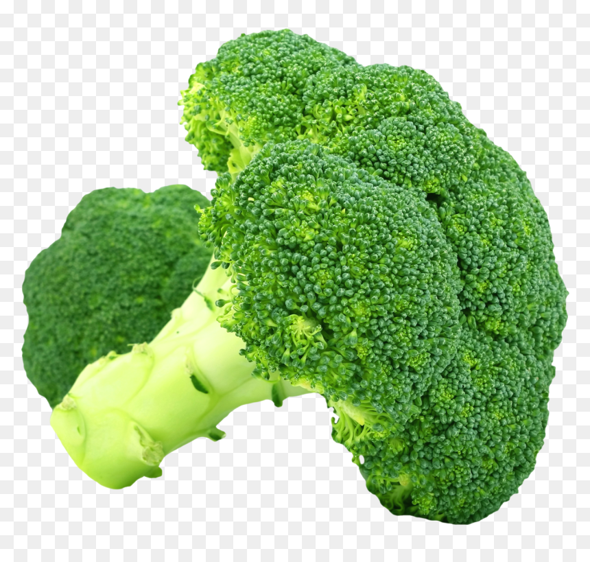 Broccoli Png, Transparent Png - broccoli png