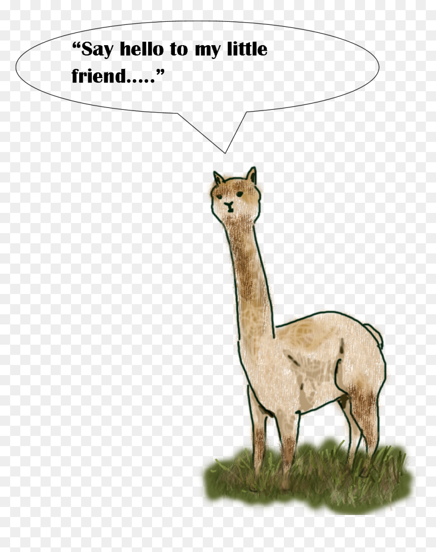Llama, HD Png Download - llama png