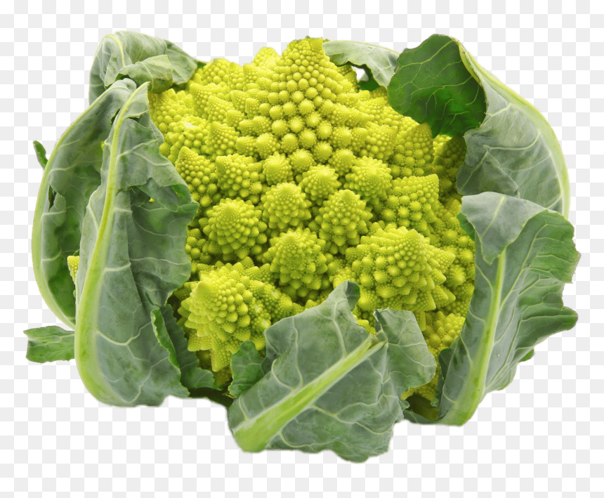 Exotic Vegetable, HD Png Download - broccoli png