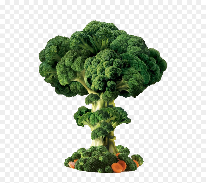 Vegetable, HD Png Download - broccoli png