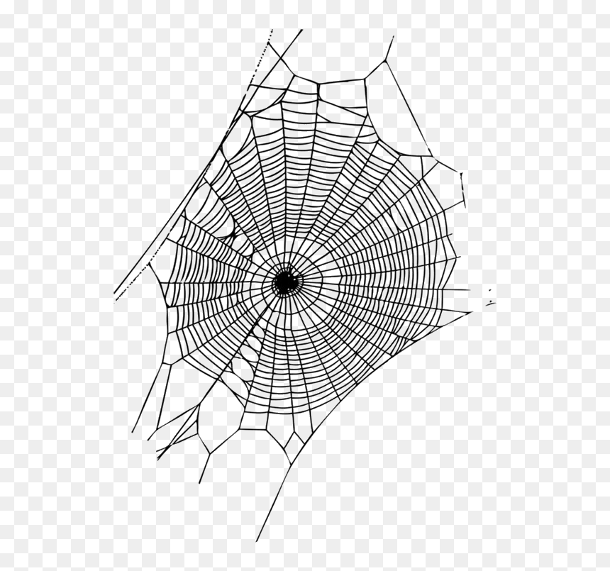 Painted Spider Web, HD Png Download - spiderweb png