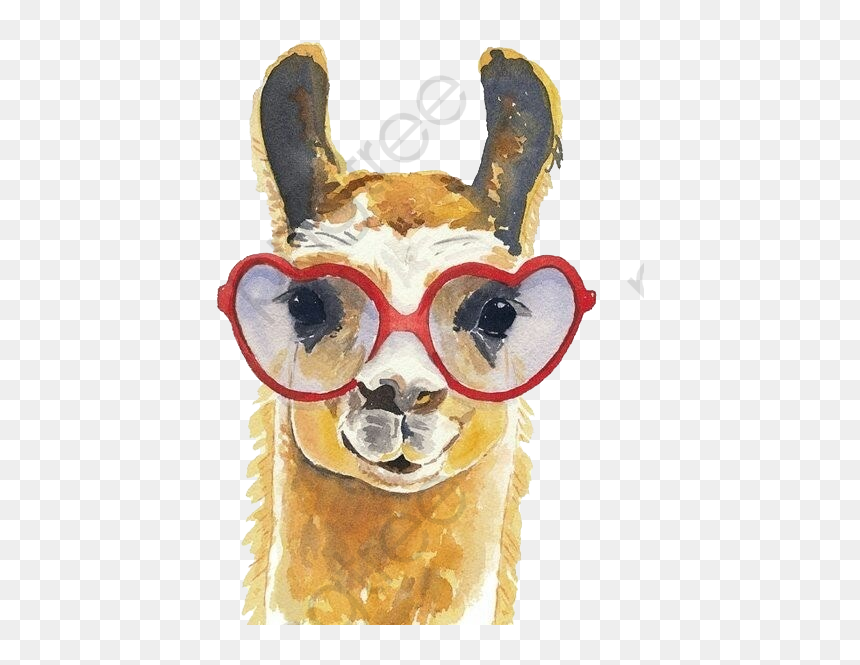 Llama Watercolour, HD Png Download - llama png