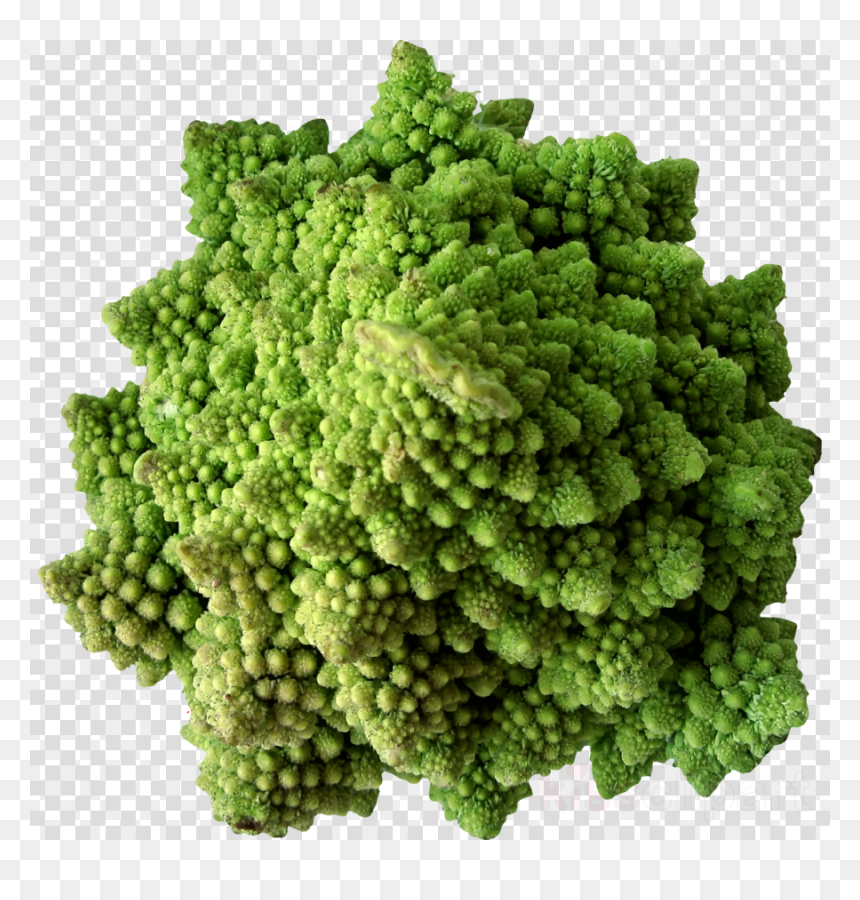 Cauliflower, HD Png Download - broccoli png