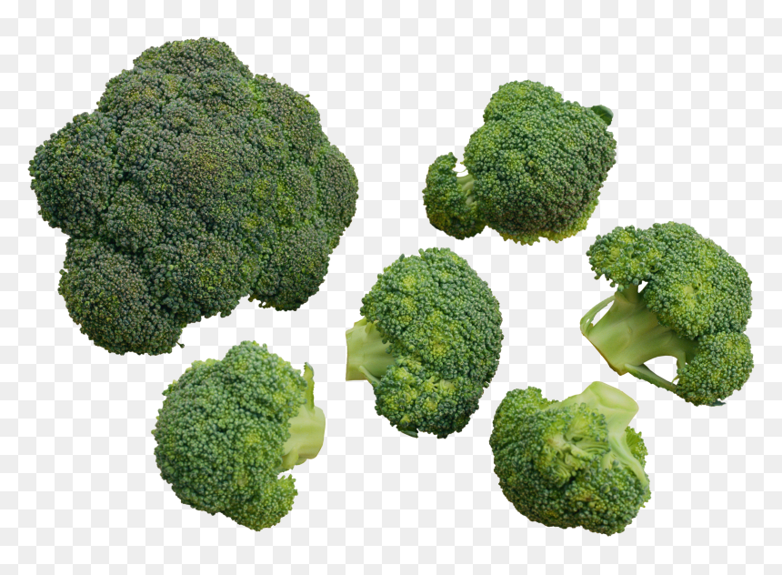 Italica Group, HD Png Download - broccoli png