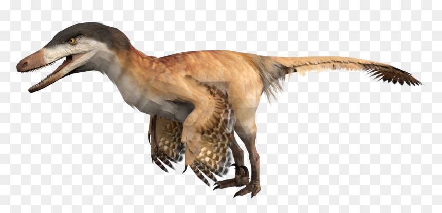 Velociraptor, HD Png Download - velociraptor png