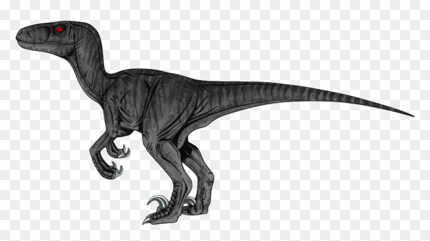 Velociraptor Transparent, HD Png Download - velociraptor png