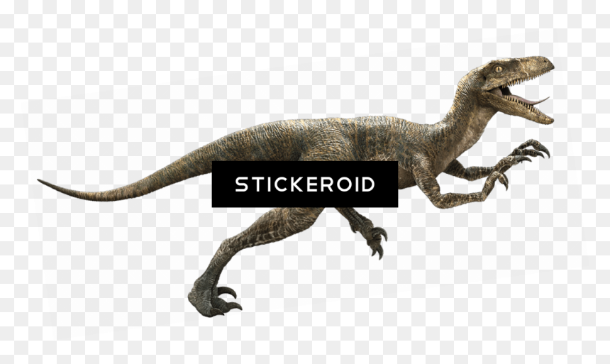 Velociraptor Png, Transparent Png - velociraptor png