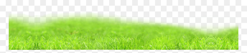 Lawn, HD Png Download - green png