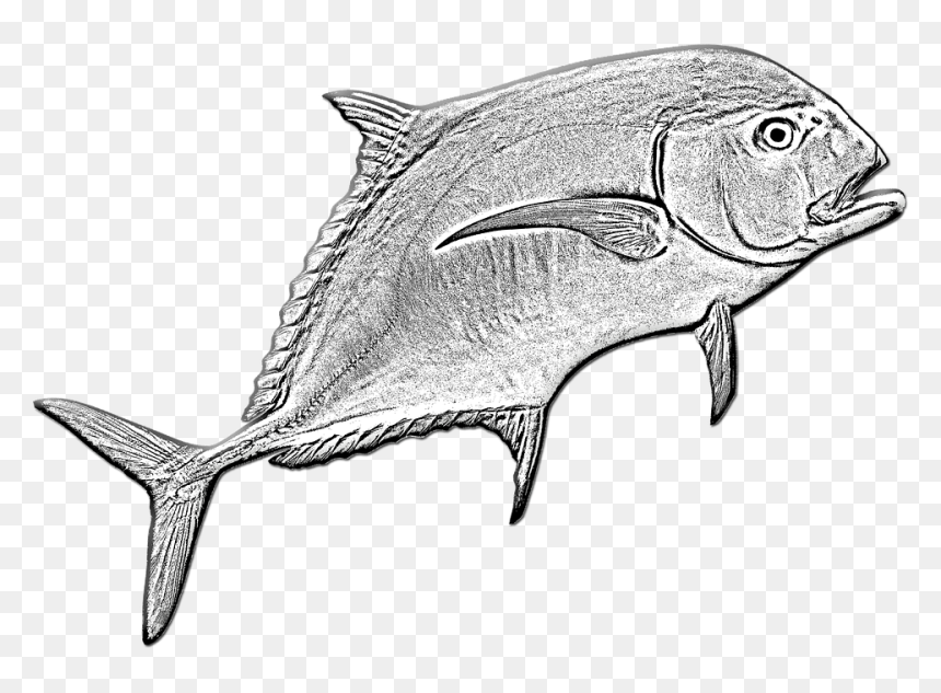 Transparent Ocean Fish Png - Bony-fish, Png Download - fishing png