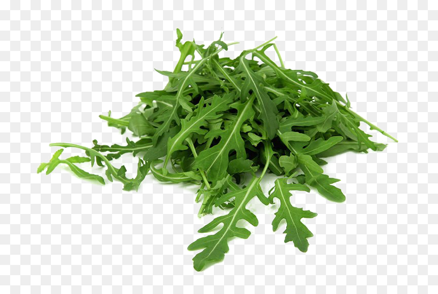 Arugula Philippines, HD Png Download - green png