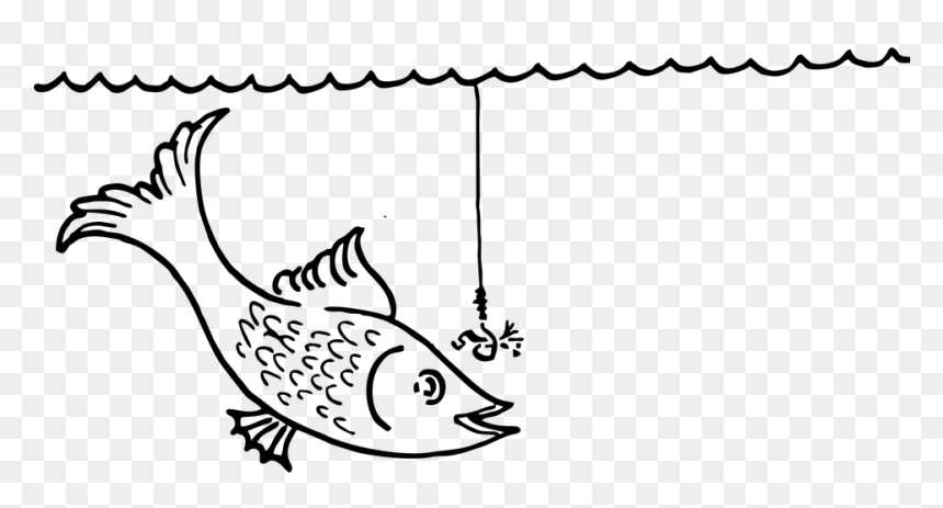 1/2 Day Fishing Trip - Balık Tutma Kolay Çizim, HD Png Download - fishing png