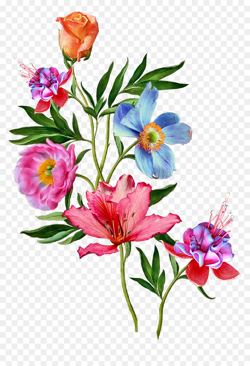 Vector Flower Plant, HD Png Download - tropical png