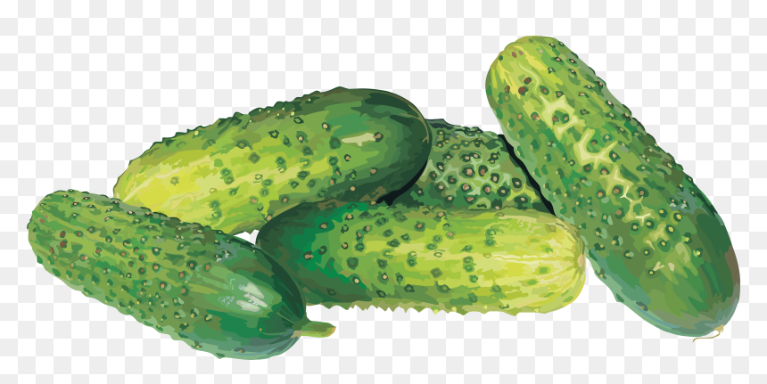 Огурцы Пнг, HD Png Download - cucumber png