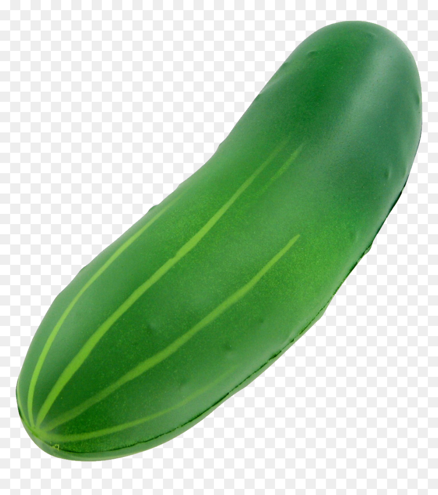 Zucchini, HD Png Download - cucumber png