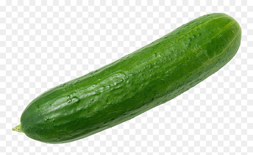 Cucumber Png, Transparent Png - cucumber png