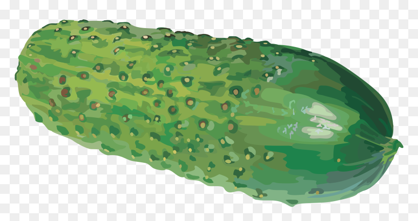 Cucumber Png, Transparent Png - cucumber png