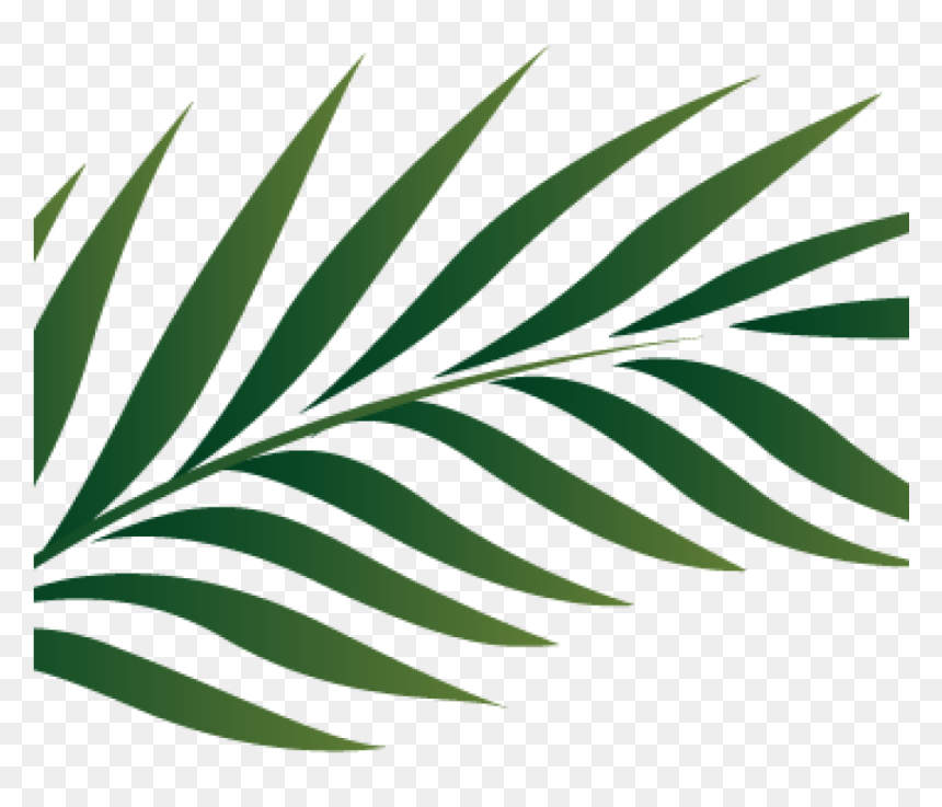 Watercolor Tropical Leaves Png, Transparent Png - palm leaves png