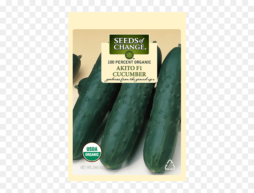 Seeds Of Change, HD Png Download - cucumber png