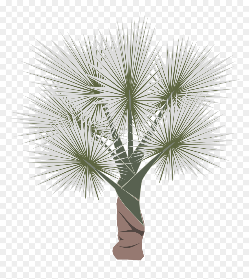 Sabal Minor, HD Png Download - palm leaves png