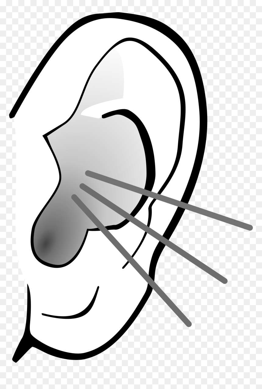 Ear Clipart Black And White, HD Png Download - ear png