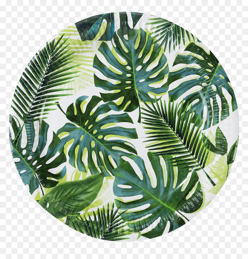 Jungle Paper Plates, HD Png Download - palm leaves png
