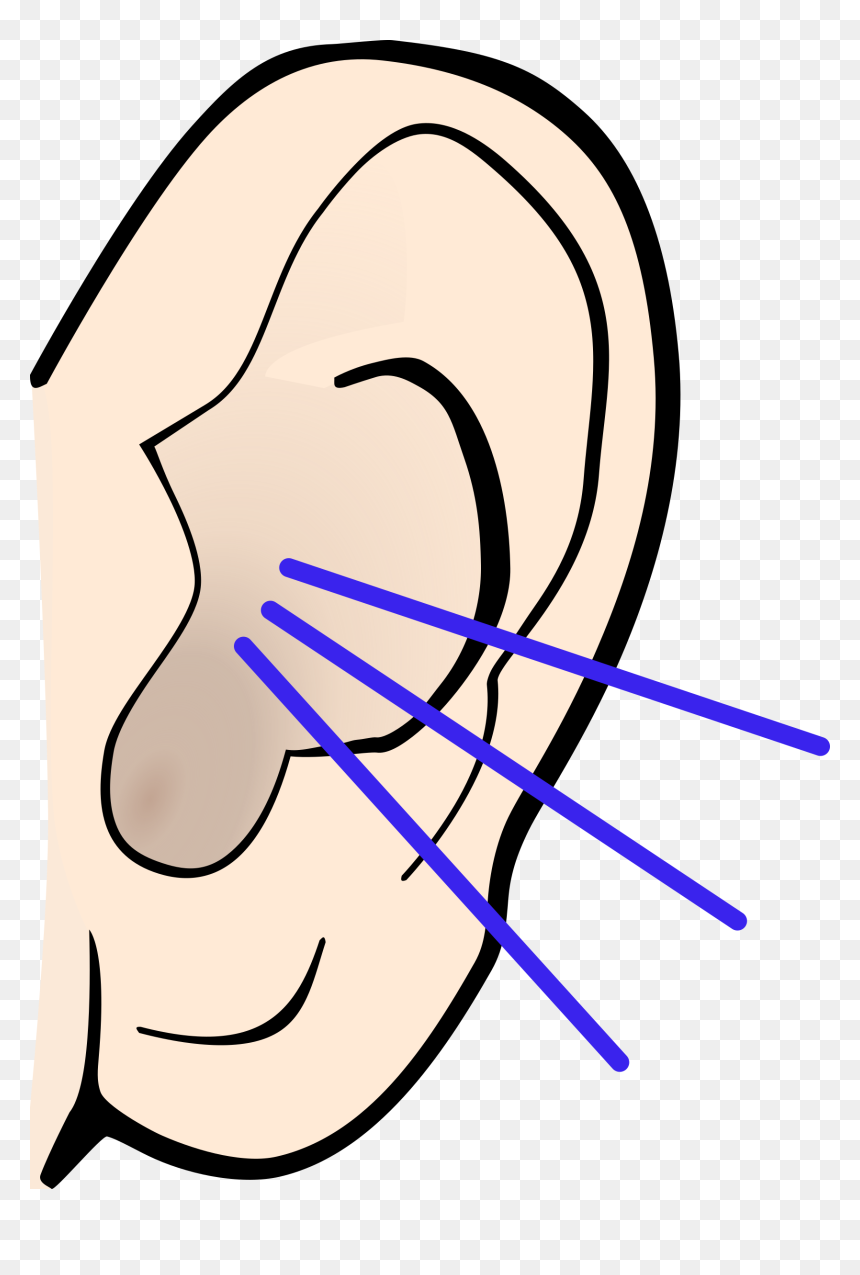 Listening Clipart Ear, HD Png Download - ear png