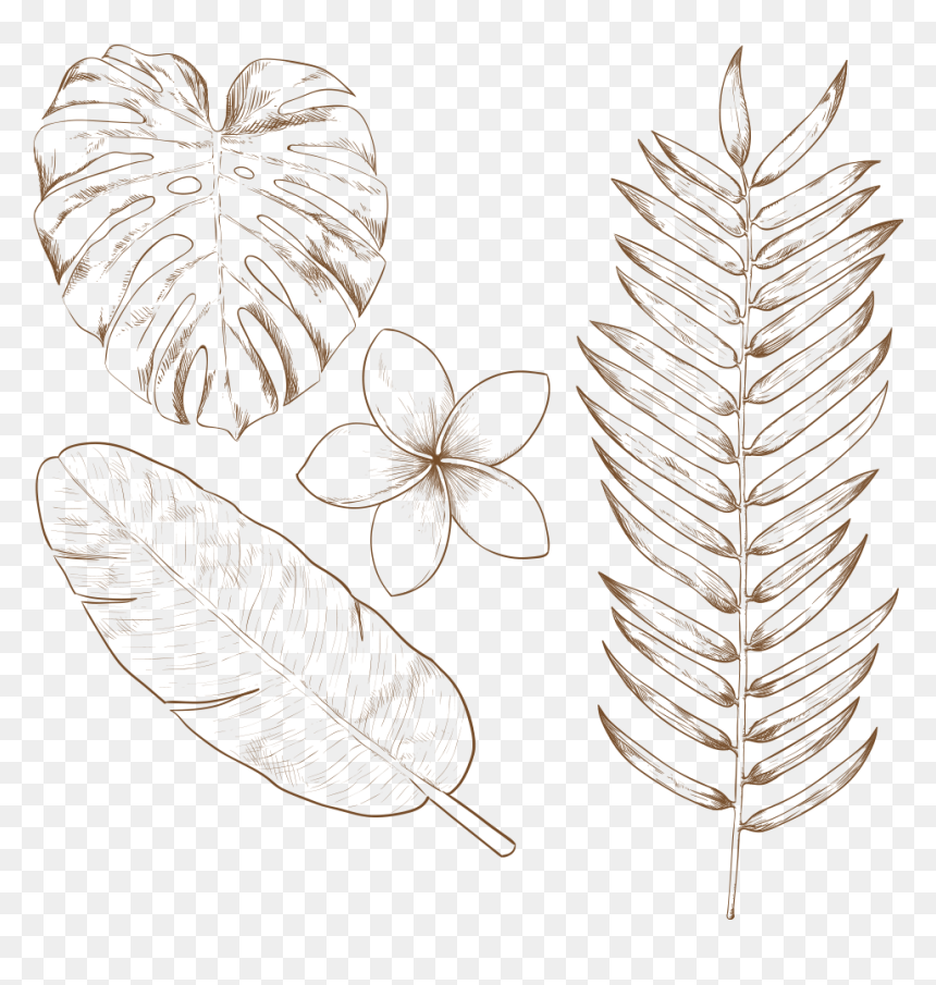 Hand Drawn Tropical Leaves, HD Png Download - tropical leaves png