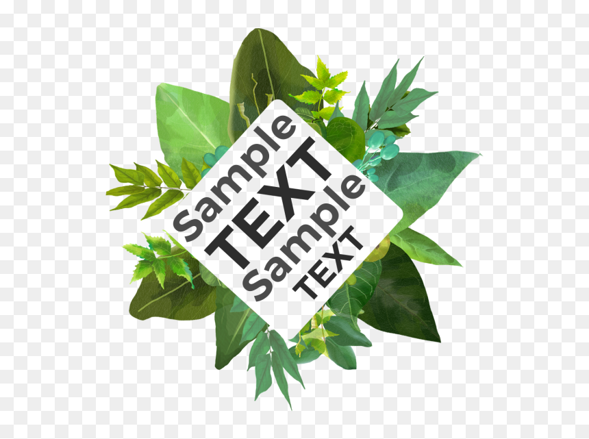 Clip Art, HD Png Download - tropical leaves png