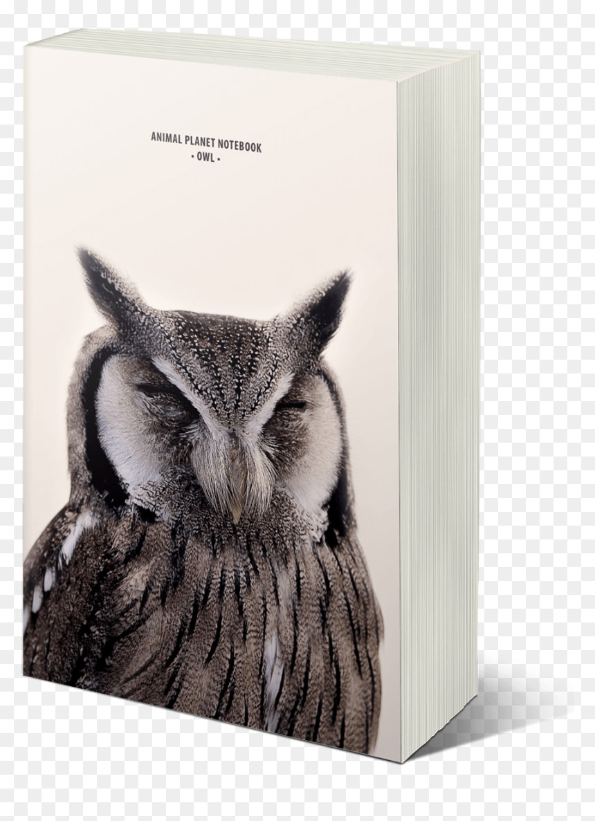 Mock11, HD Png Download - animal planet png