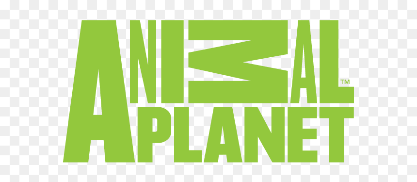 Animal Planet Hd - Animal Planet, HD Png Download - animal planet png