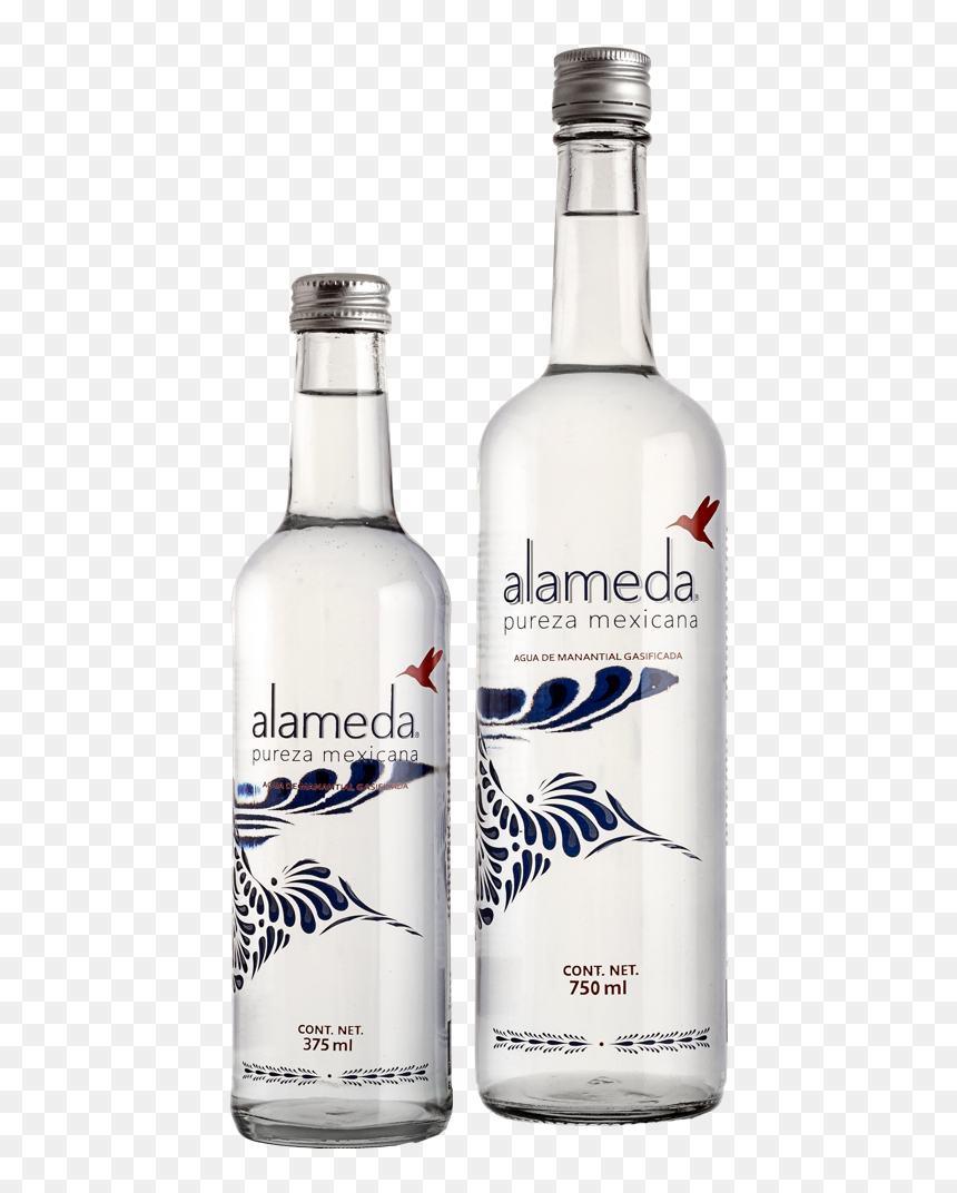 Agua Mineral De Manantial Gasificada - Agua En Botella Mexicana, HD Png Download - botella de agua png