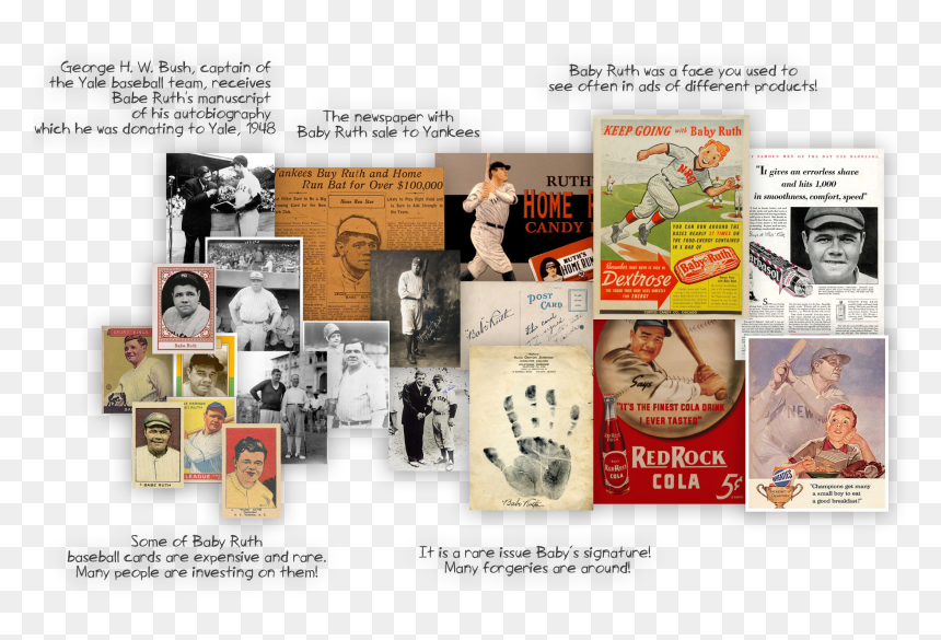 Transparent Babe Ruth Png - Flyer, Png Download - babe png