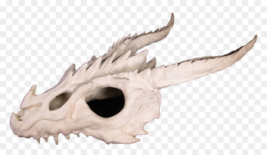 Skull, HD Png Download - dragon skull png