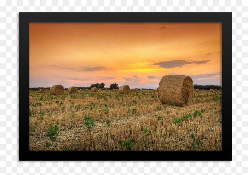 Grass, HD Png Download - haystack png