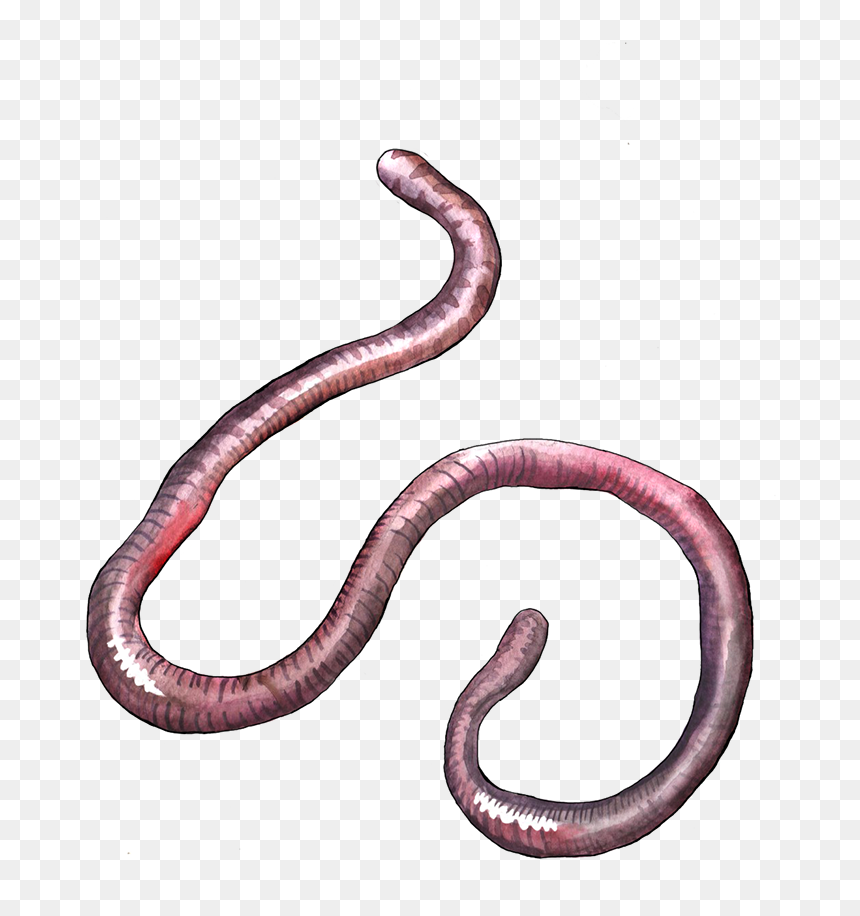 Earthworm - Portable Network Graphics, HD Png Download - earthworm jim png