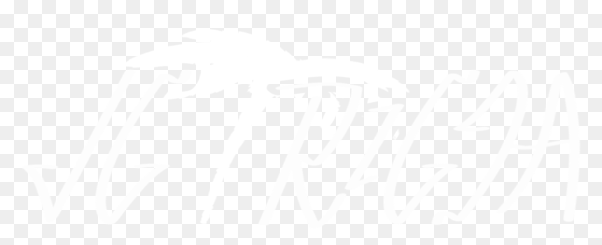 Logo - Calligraphy, HD Png Download - audiomack logo png