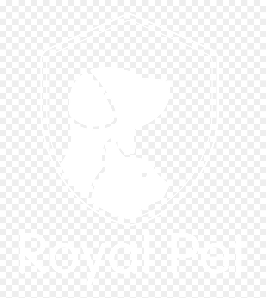Transparent Shock Collar Png - Patricia E. Raley, Png Download - electric shock png