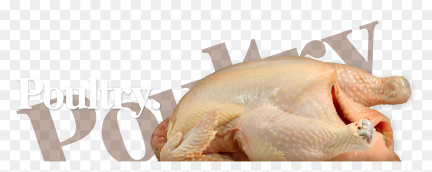 Turkey, HD Png Download - chicken meat png