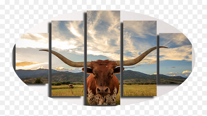 Transparent Straight Face Png - Longhorn Room Decor, Png Download - texas longhorn png