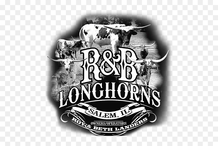 R & B Longhorns Logo - Illustration, HD Png Download - texas longhorn png