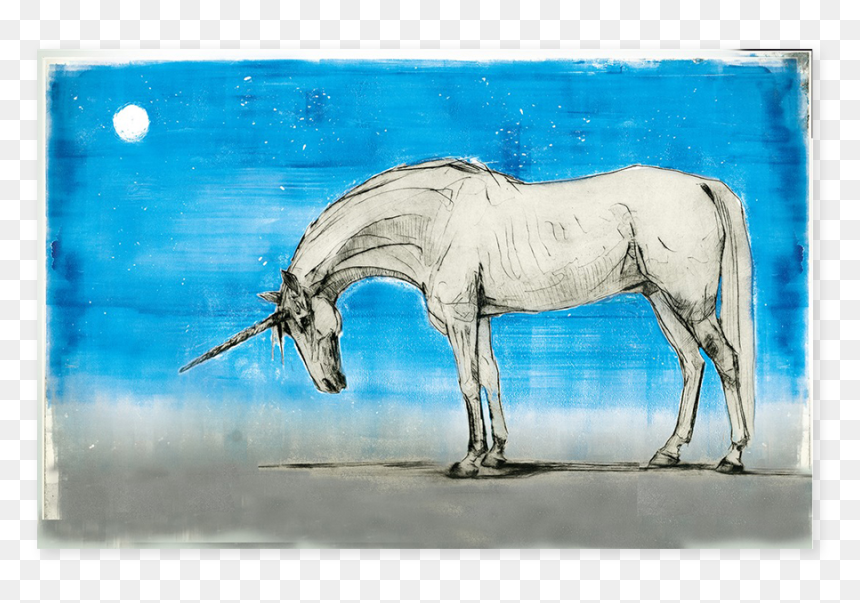 Fantastic Beasts And Where To Find Them Png, Transparent Png - fantastic beasts and where to find them png