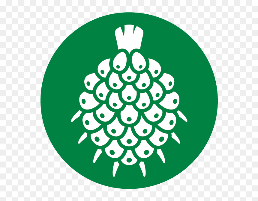 Oil Icon Png - Transparent Palm Oil Icon, Png Download - oil icon png