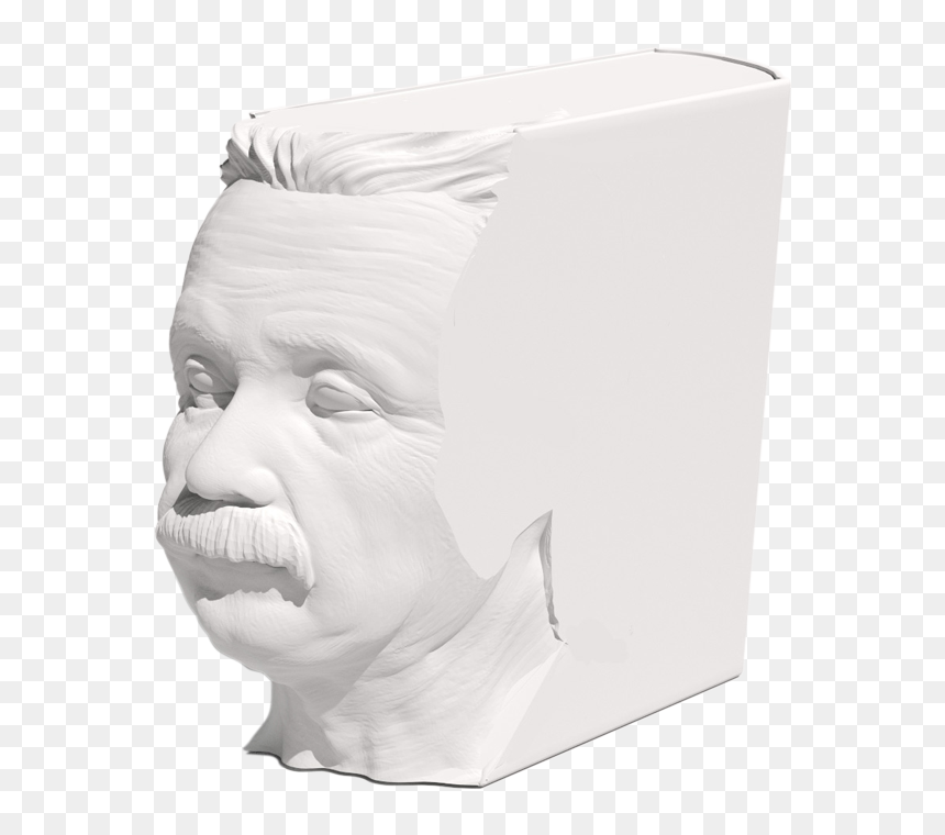 A Model Of The 3d-printed Einstein Book - World's First 3d Printed Book, HD Png Download - einstein hair png