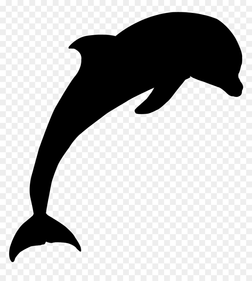 Tucuxi Royalty-free Vector Graphics Stock Illustration - Vector Graphics, HD Png Download - dolphin vector png